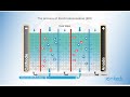 The process of Electro Deionisation EDI   Iontech   Animated