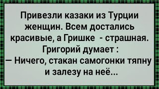 Как Казаки Из Турции Баб Привезли! Сборник Свежих Анекдотов! Юмор!