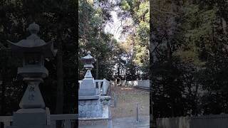 神社に行きました・東神明社・愛知県一宮市・小塞神社の末社として祀られています。境内は古墳があり社叢としても素晴らしいです。#心安らぐ#お参り#神社巡り#社叢#古墳