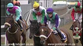 20180207 Greyville Race 8 won by LADY LI LAY