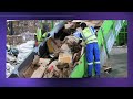 How recycled paper is sorted & baled | Paper & Cardboard recycling