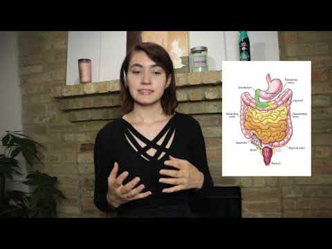 What is the role of carbohydrates in living organisms?