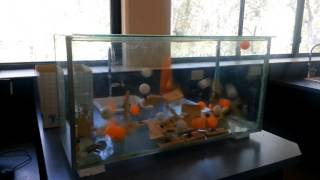 Mousetrap Fission Demo