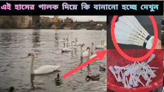 ব্যটমিন্টন খেলার জন্য কিভাবে কর্ক তৈরি করা হয় দেখুন!