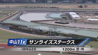 1月6日中山11R　2025年サンライズステークス【高画質、高音質】