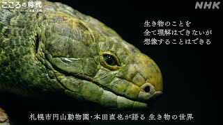 [こころの時代] 札幌市円山動物園 動物専門員 本田直也さんが語る生命観 | “ノアの箱舟”をつくる人 | NHK