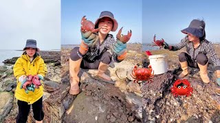 Video of digging and catching rock crabs on the beach #fishing #hunting #crab