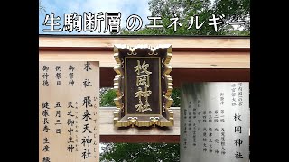 【地龍】【アメノミナカヌシ様】【生駒断層地帯 のエネルギー】枚岡神社【天之御中主神】[地]Hiraoka-jinja Shrine Osaka Japan