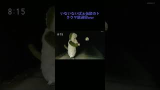 【恐怖】ワンワンの放送事故　#おすすめ #short　#いないいないばあっ