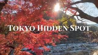 Tokyo Nature Spot, Relaxing Music, Day Trip | 紅葉の御岳渓谷、東京散歩、日帰り癒しスポット、電車旅、都会の中の大自然