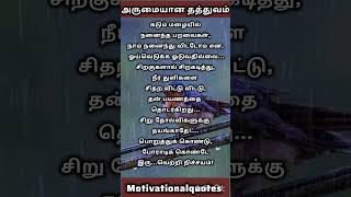 கடும் மழையில் நனைந்த பறவைகள் #motivation #tamilinspirationalquotes #love #motivationallines #tamil