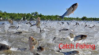 Top Video Most Catch Net Fishing In River - Incredible You That How Catch A lot of Fish! #02