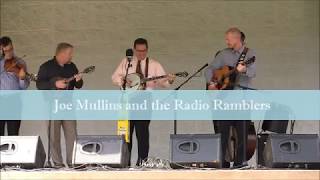 Joe Mullins \u0026 the Radio Ramblers - Wild Mountain Honey - Lanny Franklin Bluegrass Festival 2017