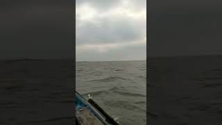 Chilika lake boat ride @Sunset | India's largest brackish water lake|Satapada| #satatavlogs #puri