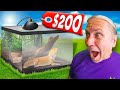 Best Bearded Dragon Cage For Under $200!