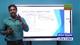 அரசியல் விஞ்ஞானம் | Political science | G.C.E A/L | க.பொ.த உயர்தரம் | 06.05.2021 | அரசியல் கல்வி