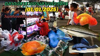 Aquarium​ Fish​ Market in​ Thailand​ ตลาด​ปลา​สวยงาม​ลาน​เร่​จตุจักร​🐟(01/01​/2025)​