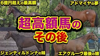 超高額馬のその後…歴代最高落札額トップ10の馬たちはどうなった？