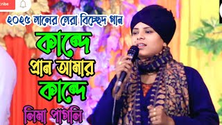 ডাকে আমার আনোয়ার শাহ বাবা চান্দে। লিমা পাগলি এর গান dake amar doyal baba chanda I Lima Pagli