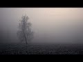 Dub Techno Session #51