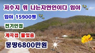 70  나는자연인이다 전기 물 인접 포장도로 잘 접함 약16000평