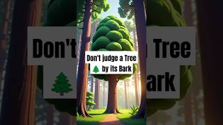 Don't judge a Tree by it's Bark #valuablelessons #motivation #inspiration #shorts #dontjudgeatree