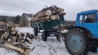 big load of firewood MTZ 82- GKB 819. большая загрузка дров МТЗ 82- ГКБ 819