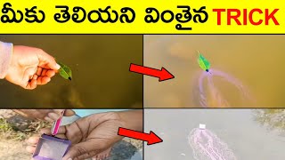 చాలా మందికి తెలియని ఒక వింతైన ట్రిక్ | {Leaf+Ink }-in water | #shorts |Krazy Edition |