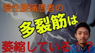 慢性腰痛患者の多裂筋は萎縮している！？