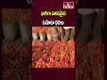 tomato prices fall in kurnool భారీగా పతనమైన టమోటా ధరలు hmtv