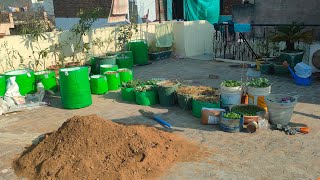 गमले की मिट्टी ऐसे बनाए और कुछ टाइम बाद इसका result dekhna #organicgardening