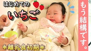 【離乳食初期】はじめてのいちごは拒否？！　Baby rejects strawberry