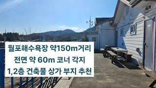 포항 월포해수욕장 월포 톨게이트 (개통예정)인근 창고,주택 매매 약60m 도로접 코너각지 상가 부지 땅 매매