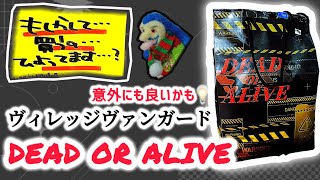 【福袋開封】王道を征く、アレ。ヴィレッジヴァンガード福袋 DEAD OR ALIVE 😳