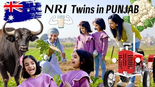 NRI twins in PUNJAB | Kids Show | Amber \u0026 Amani