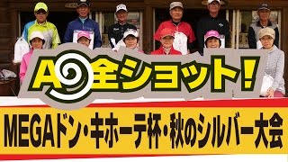 2016年 MEGAドンキホーテ杯・秋のシルバー大会のA9全ショット／糸井の森パークゴルフ