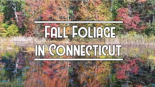 Relaxing Meditation on Fall Foliage in Connecticut