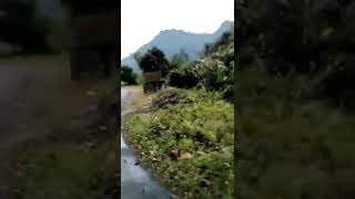 tezu to hayaliang #arunachalpradesh #arunach #northeast #royalenfield