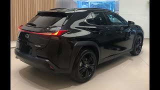 2021 Lexus UX Compact SUV - Black - Walk Around