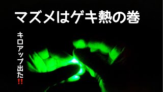 【ヤエン釣り】薄暗い時間帯はアツい‼️