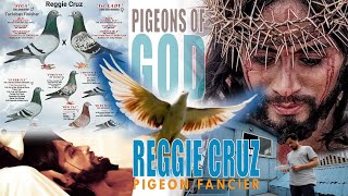 The Pigeons of God