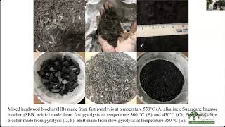 Grow Pro Series: Biochar for Container Production