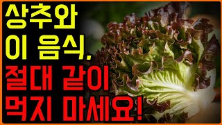 [경고] 상추, 이렇게 먹으면 독이 됩니다! 건강 지키는 올바른 섭취법