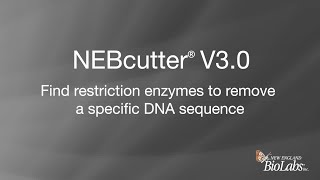 NEBcutter® V3.0 - Find restriction enzymes to remove a specific DNA sequence
