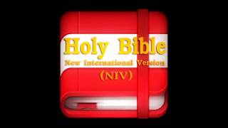 (NIV) - New International Version (Holy Bible NIV version)