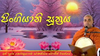 පිංගියානි සූත්‍රය | Pingiyani Suthraya | Koralayagama Saranathissa Thero