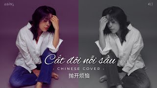 Cắt đôi nỗi sầu - Tăng Duy Tân | 《抛开烦恼》| Hoàng Mai | Chinese Cover