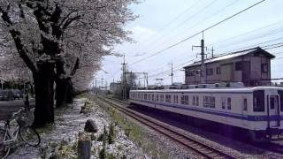 東武鉄道　桐生線・桐生球場横・桜と８０００系2012-4-15