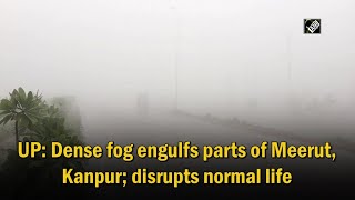 UP: Dense fog engulfs parts of Meerut, Kanpur; disrupts normal life