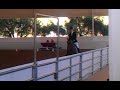 2012 tampa arabian show training test 1 jtr